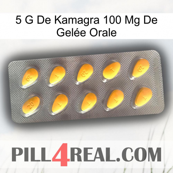 5 G De Kamagra 100 Mg De Gelée Orale cialis1.jpg